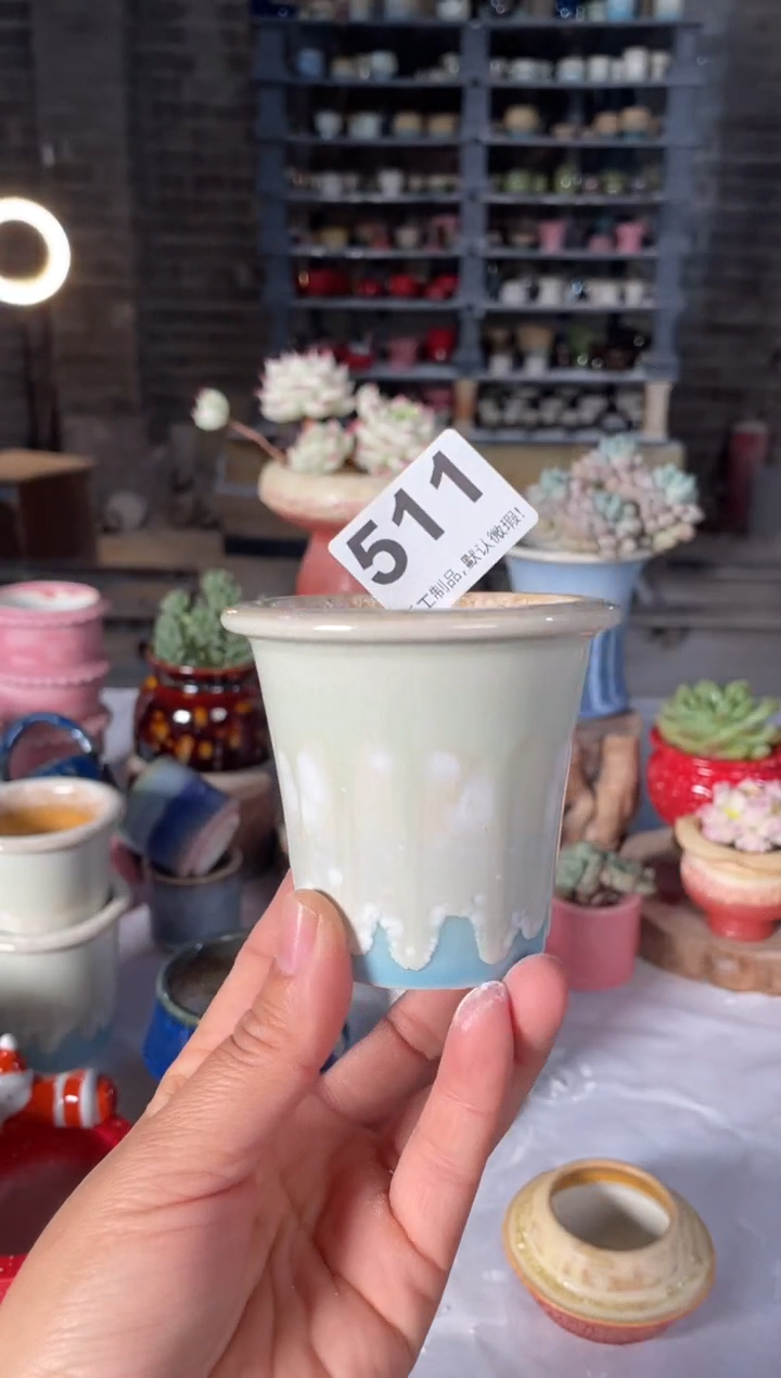 瓷片511小芳直播编号