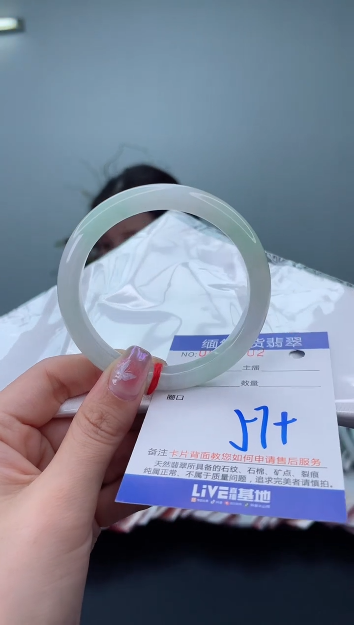 未镶嵌手镯翡翠2