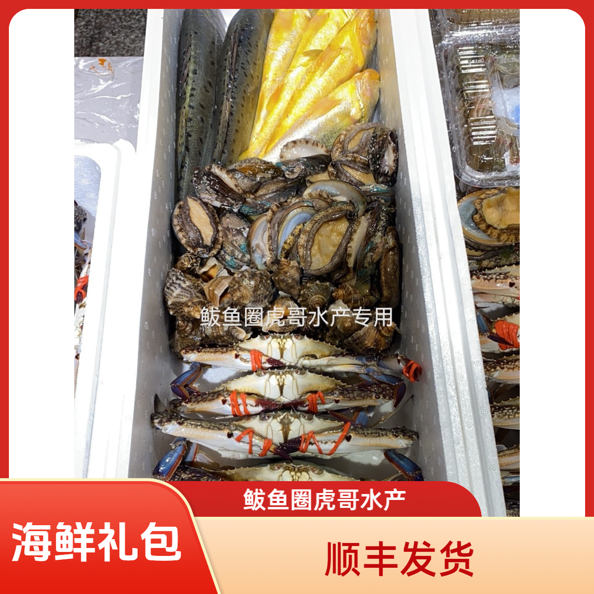 《主播推荐》海鲜大礼包鲜活拼搭（顺丰发货）