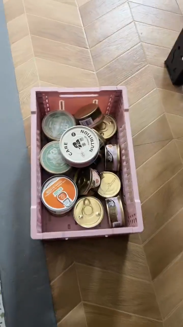 88拓海 帕特罐*2+希宝慕斯罐*10+生生*1罐+象恩主食罐*1