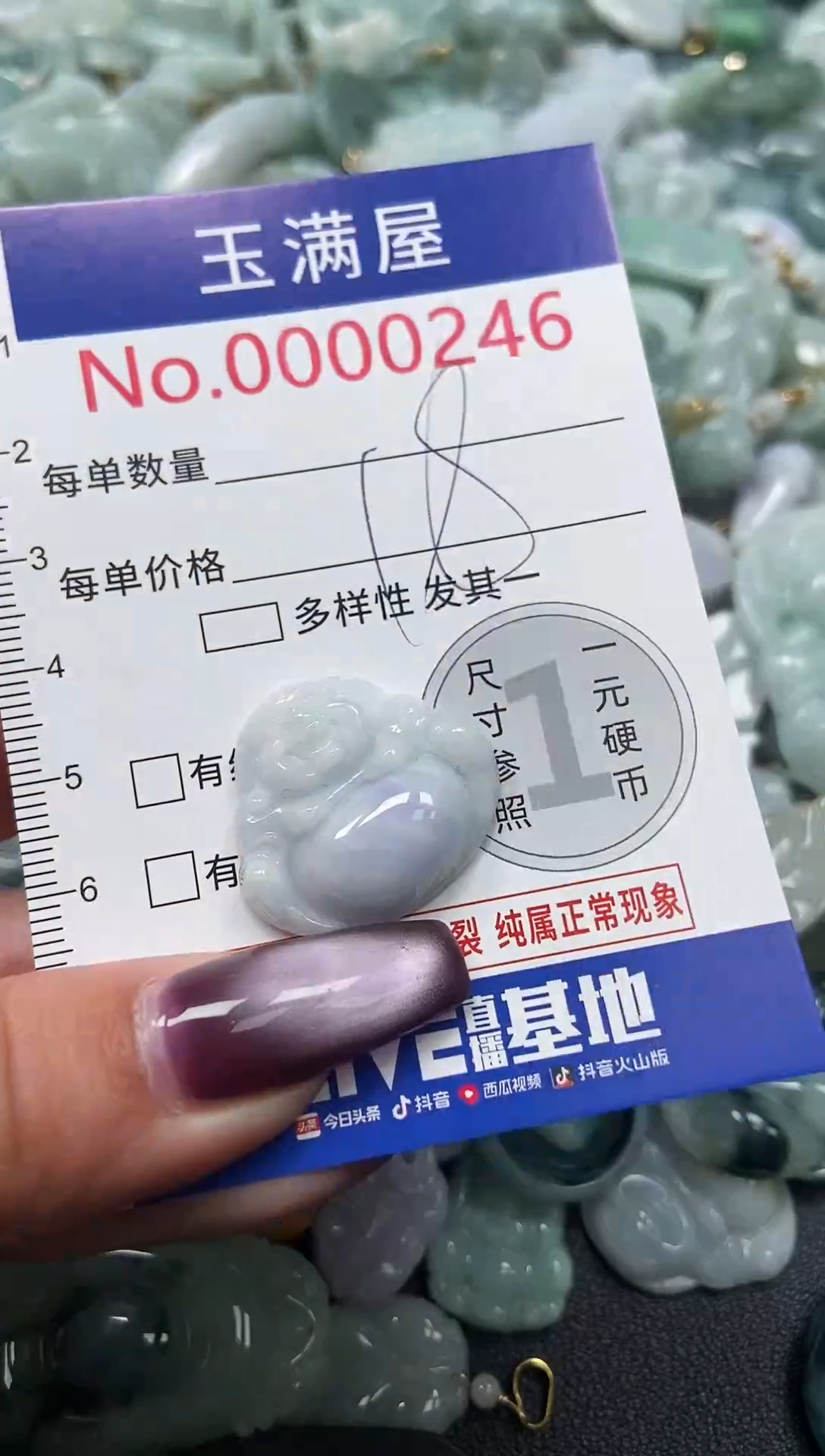 颈饰未镶嵌翡翠246