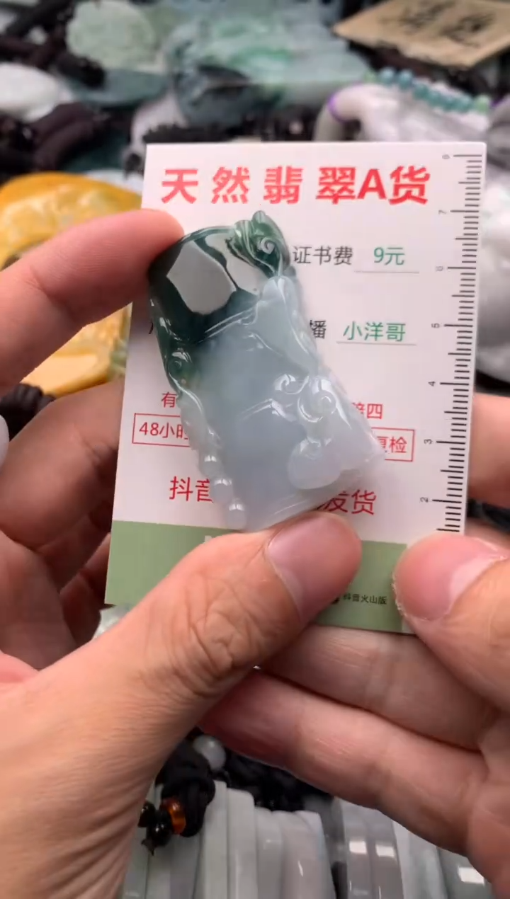 翡翠未镶嵌吊坠(不含链)1