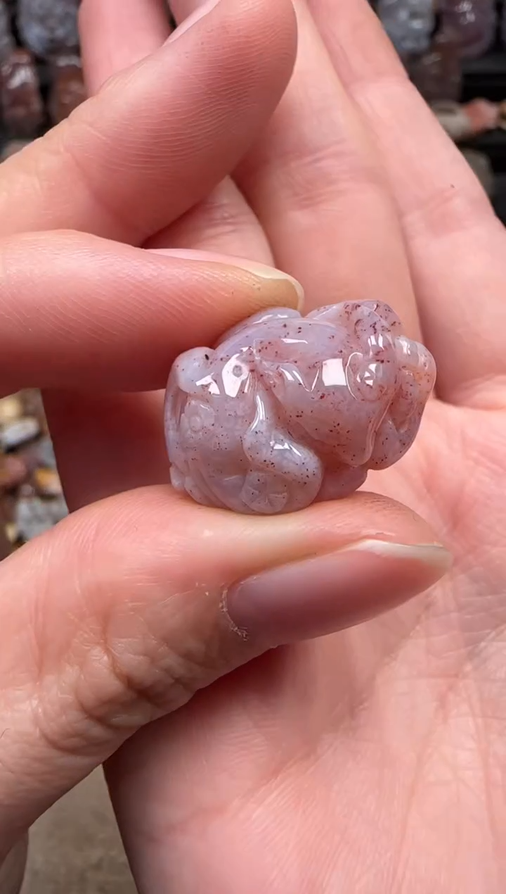 颈饰未镶嵌硅化珊瑚（珊瑚玉）229