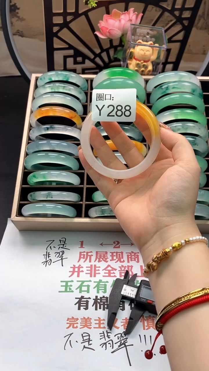 【闪购商品】y288专拍链接一物一拍以截图为准