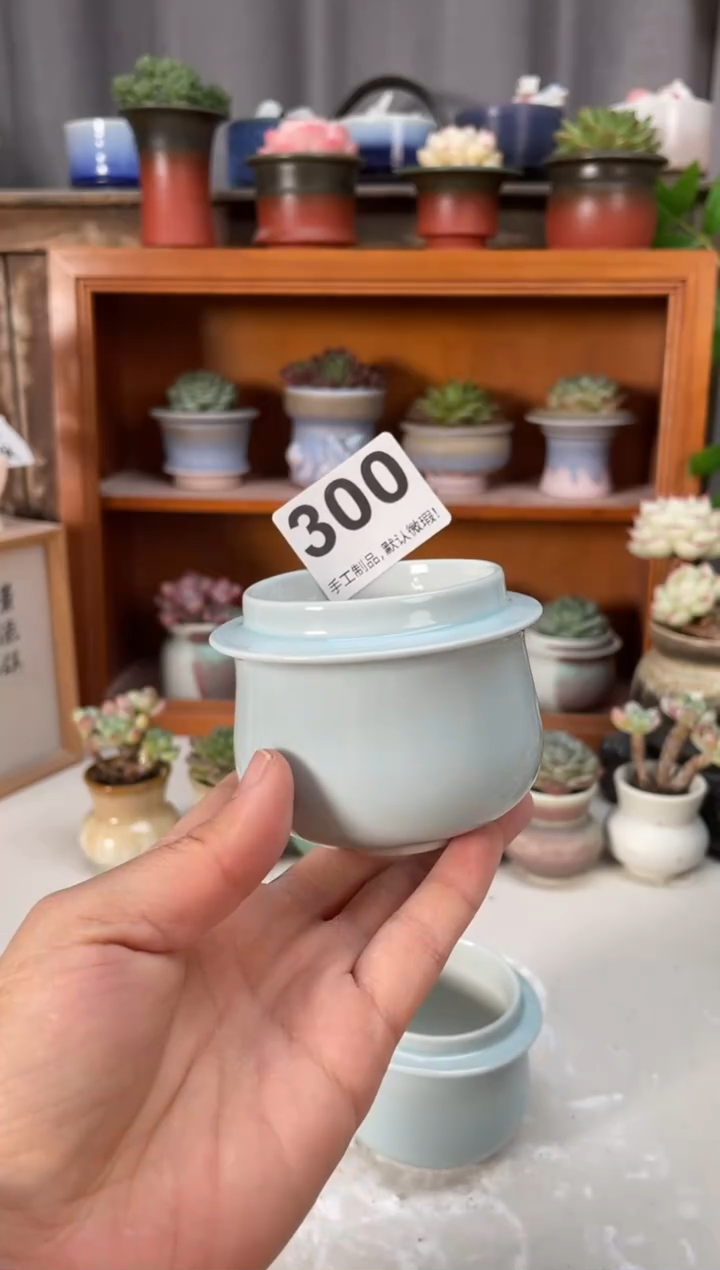 瓷片300小芳直播编号