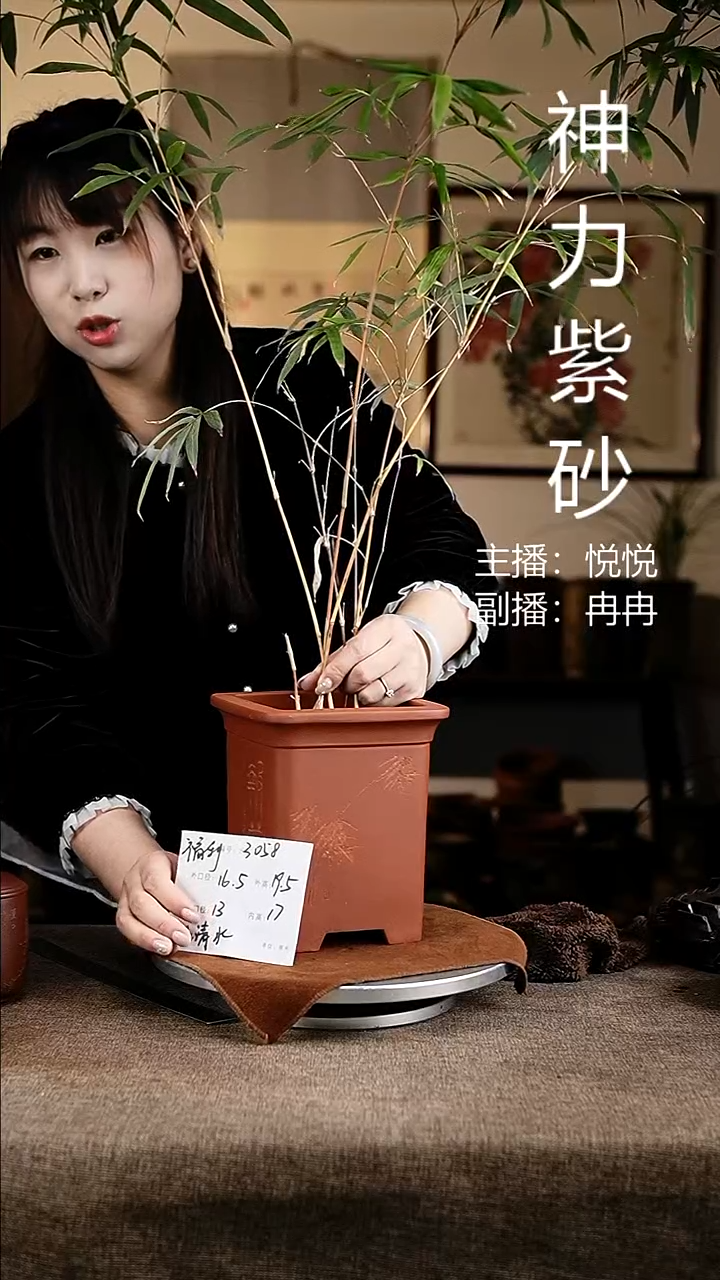 紫砂花盆花卉工艺3508