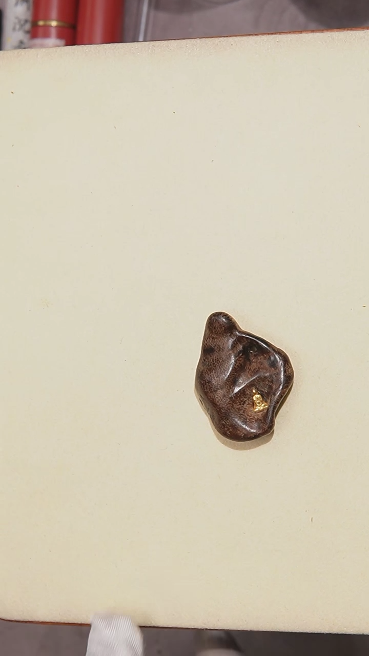 【闪购商品】沉香吊坠随型文莱沉水5克