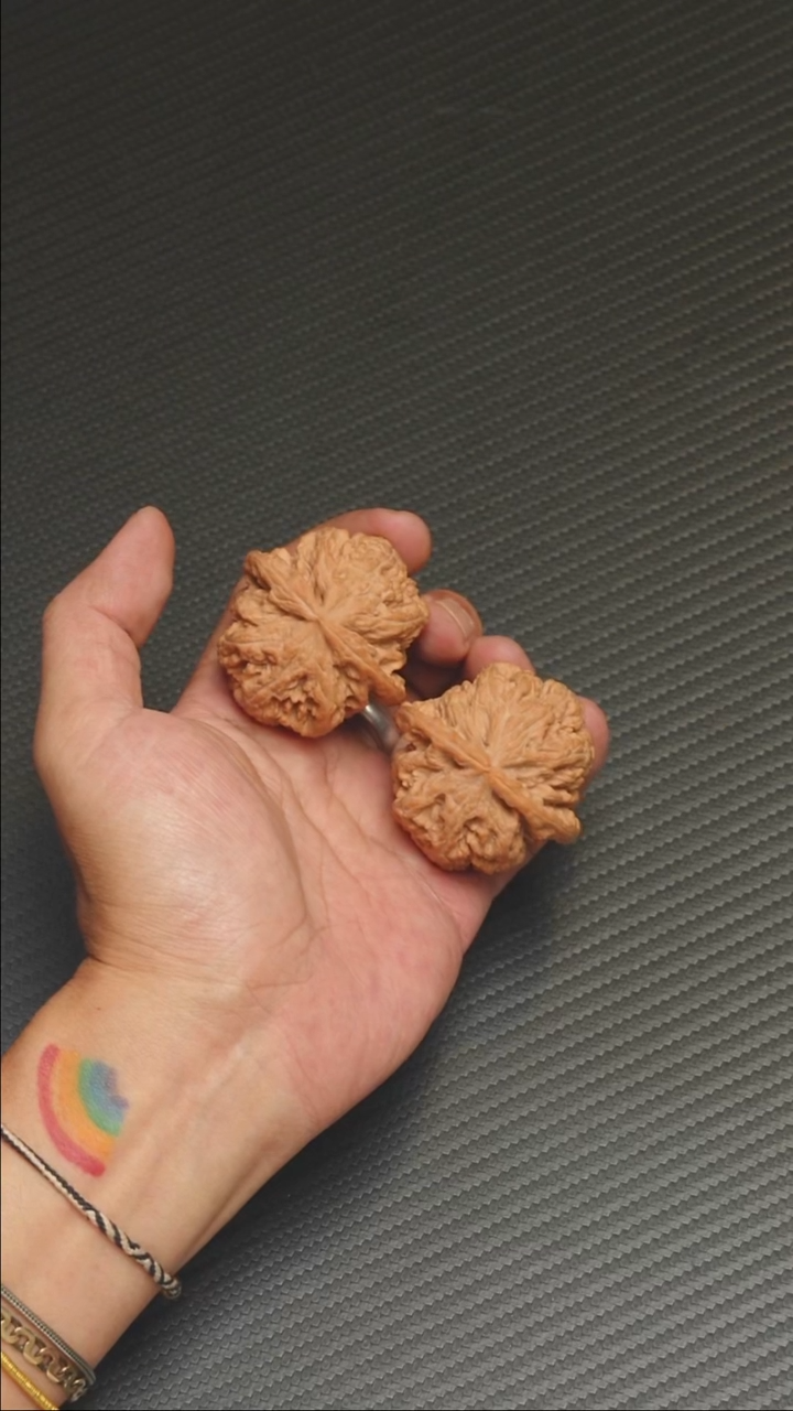 2025核桃季精品粗筋45