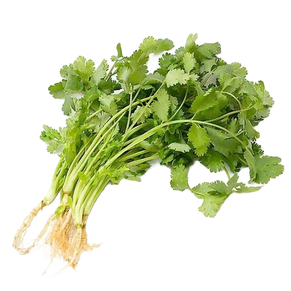 新鲜香菜芫荽约100g