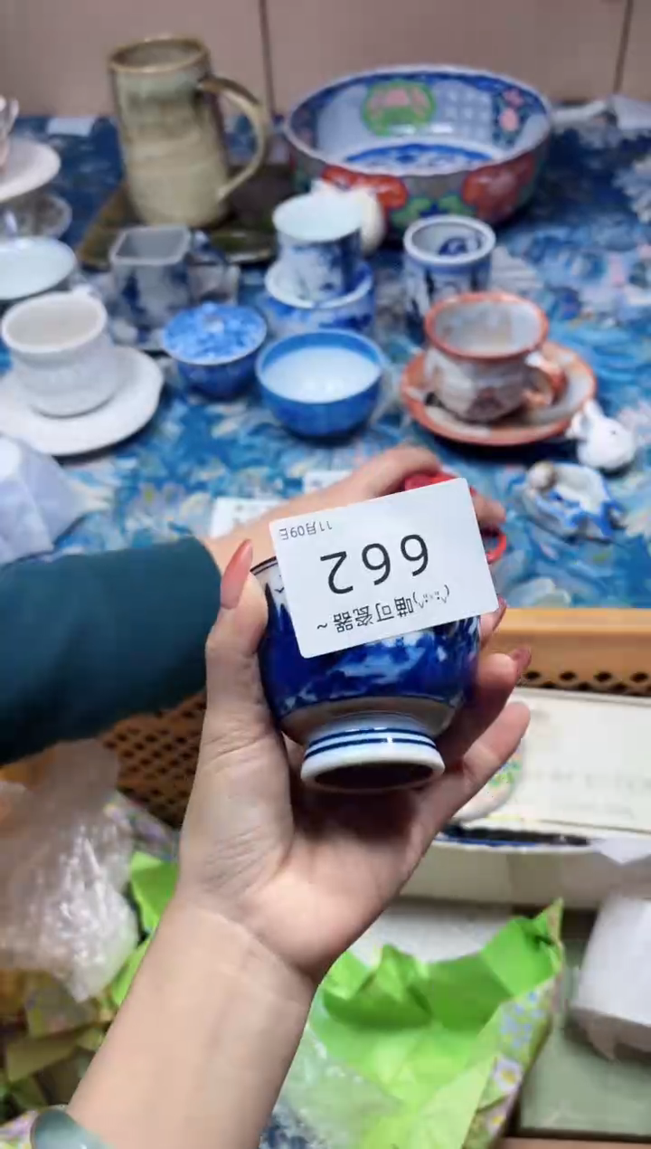 瓷片白**阳662 定向 白洋朝阳