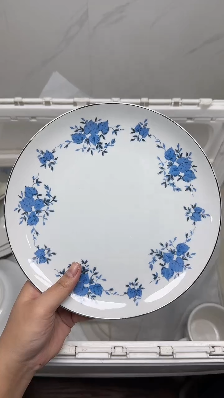 【闪购商品】3459回流瓷器默认微瑕，18.8包邮