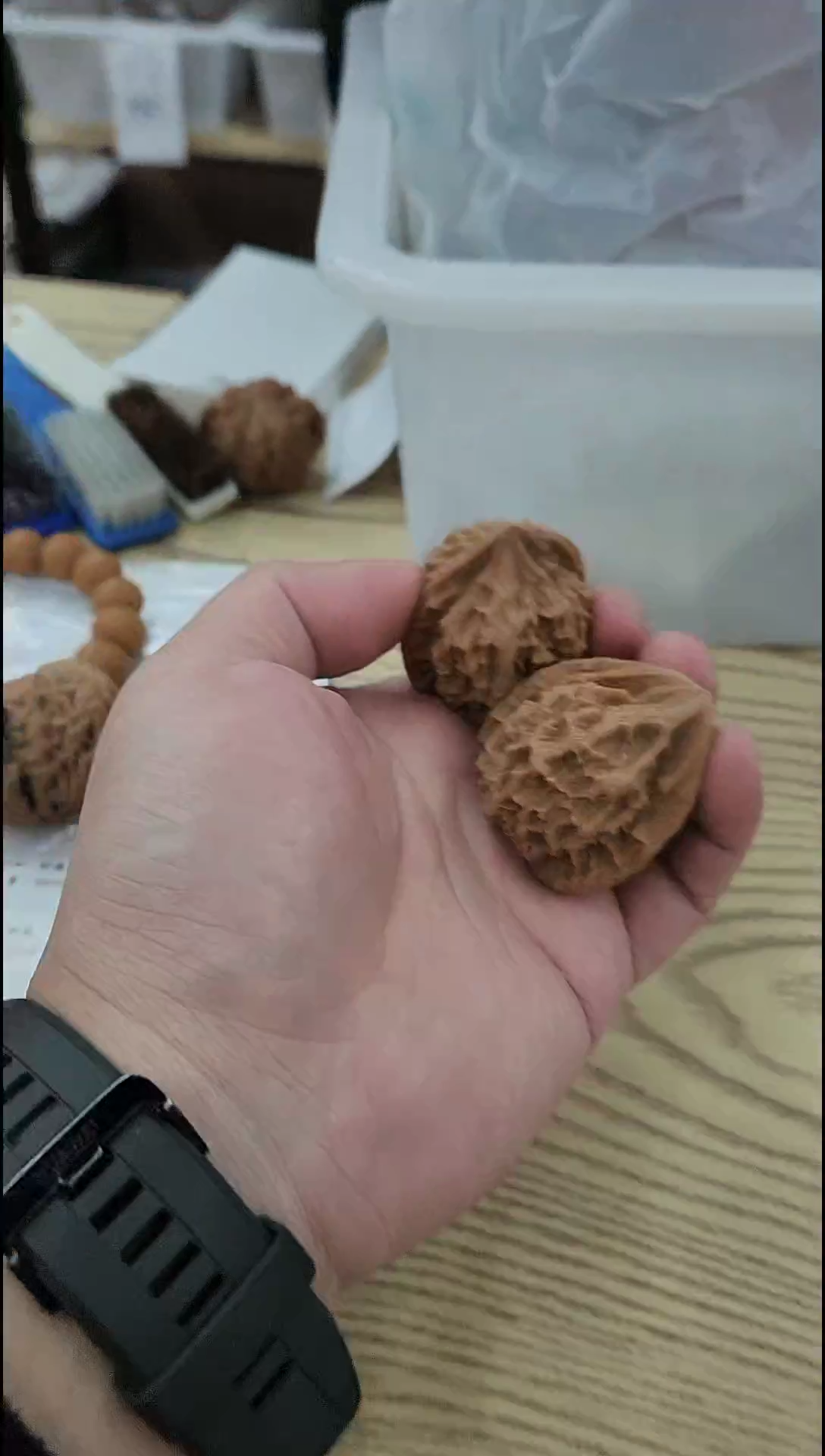 手串/手链核桃【帝王狮子头】#41