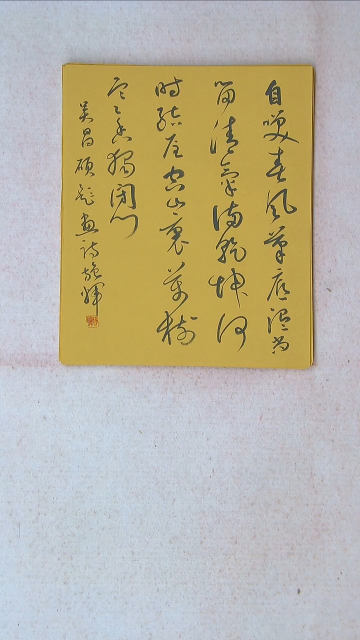 【闪购商品】书法施辉 江西新余34*27