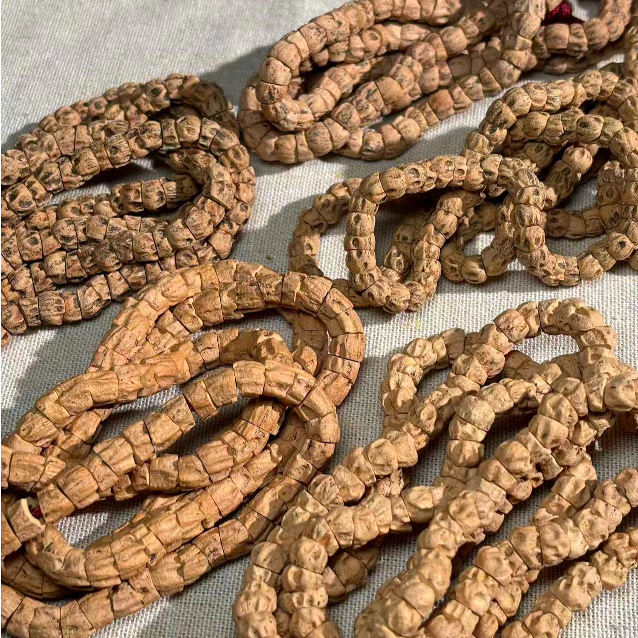 热振柏香籽大肠108斜切深坑多棱鬼肠高油高密直播间选货