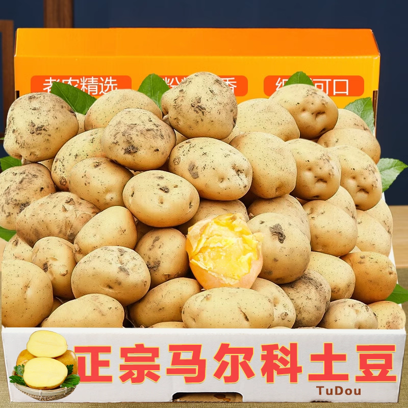 [马儿科]恩施马尔科老品种小土豆高山农户自种黄心土豆洋芋马铃薯