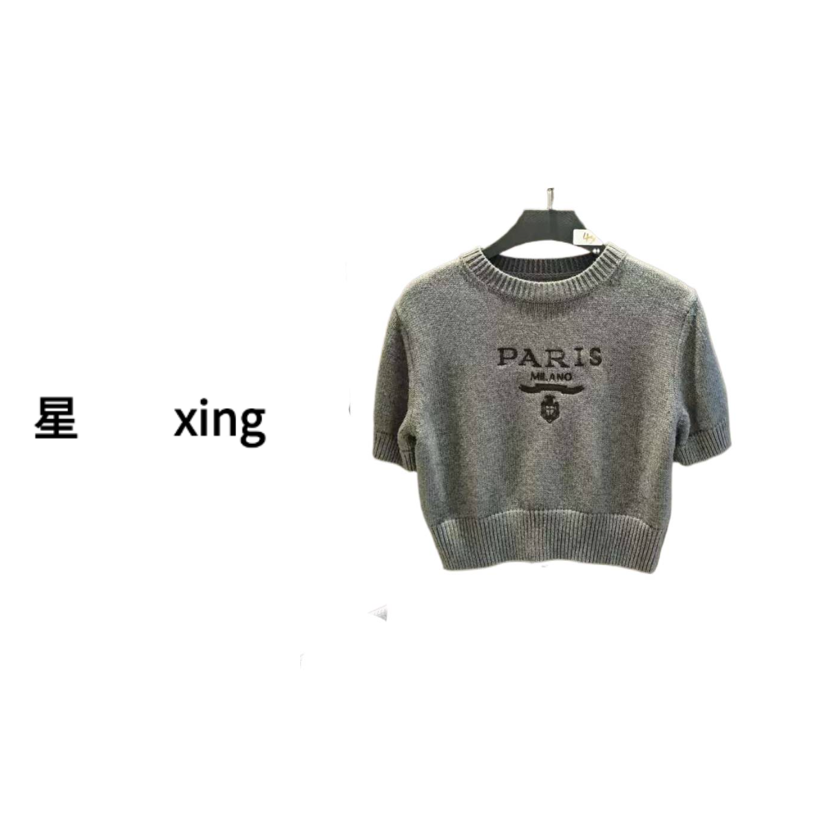 107-P春秋新款短袖圆领针织上衣51015