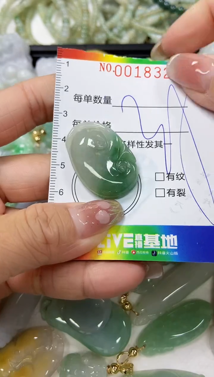 【闪购商品】翡翠颈饰未镶嵌闪购0018323