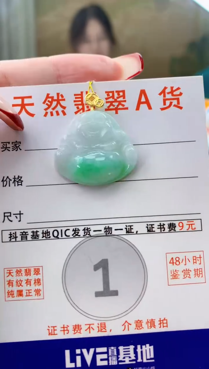 颈饰未镶嵌翡翠天然A货翡翠挂件