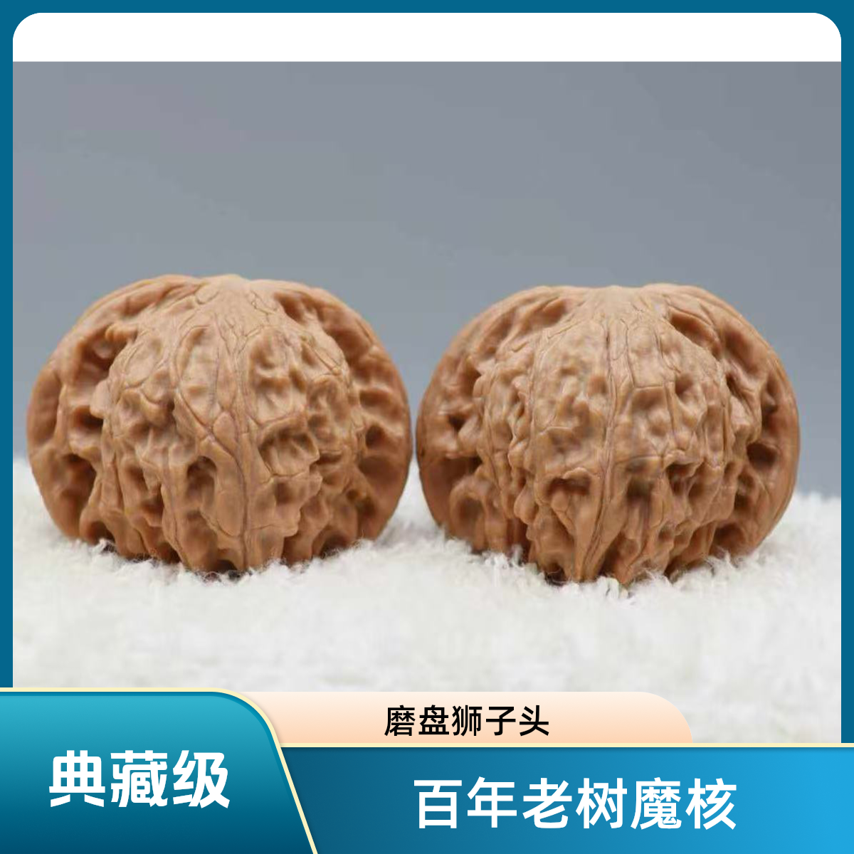 【魔核】百年老树/头货/典藏级/磨盘狮子头
