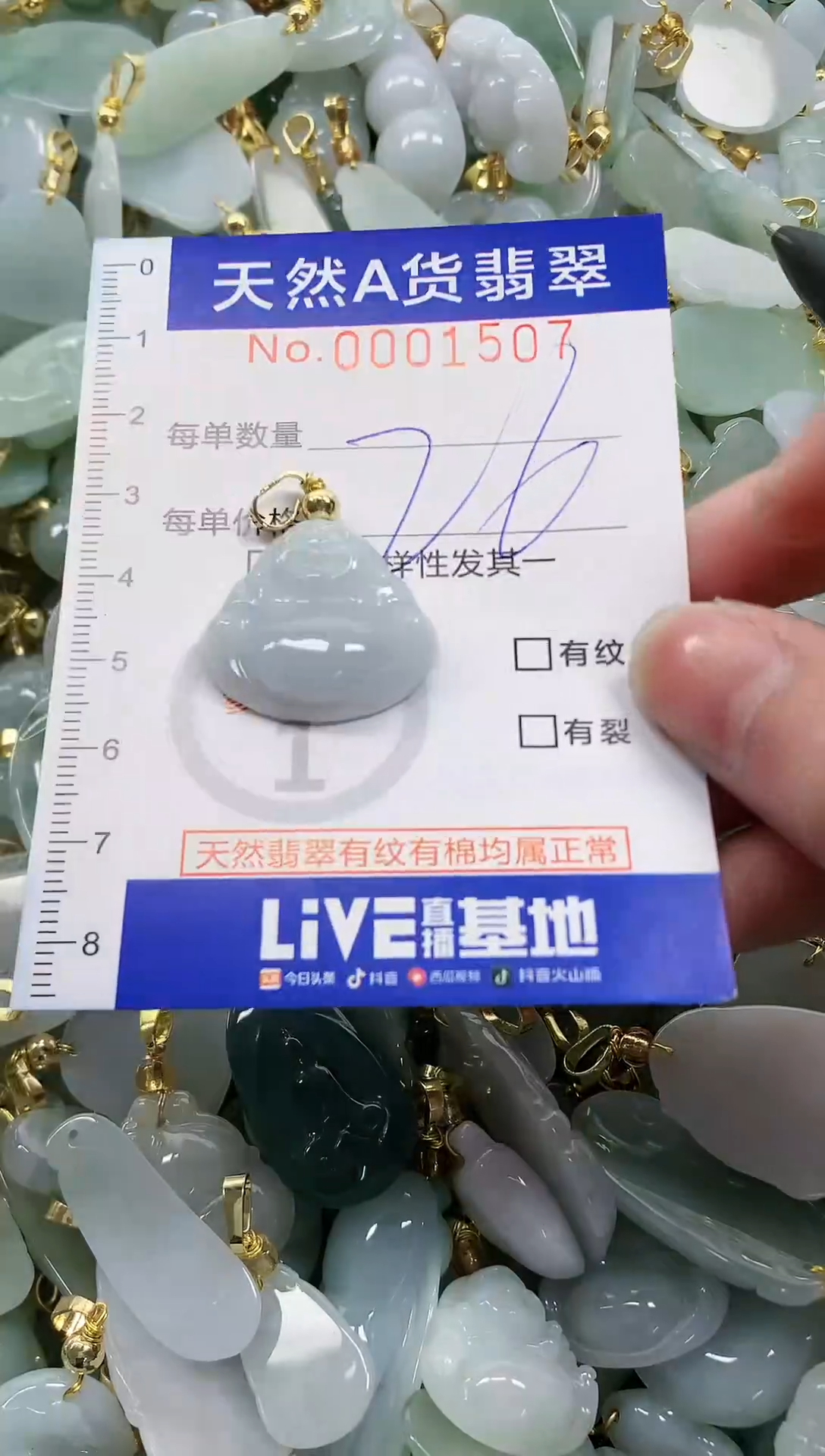 颈饰未镶嵌翡翠纯天然a货翡翠