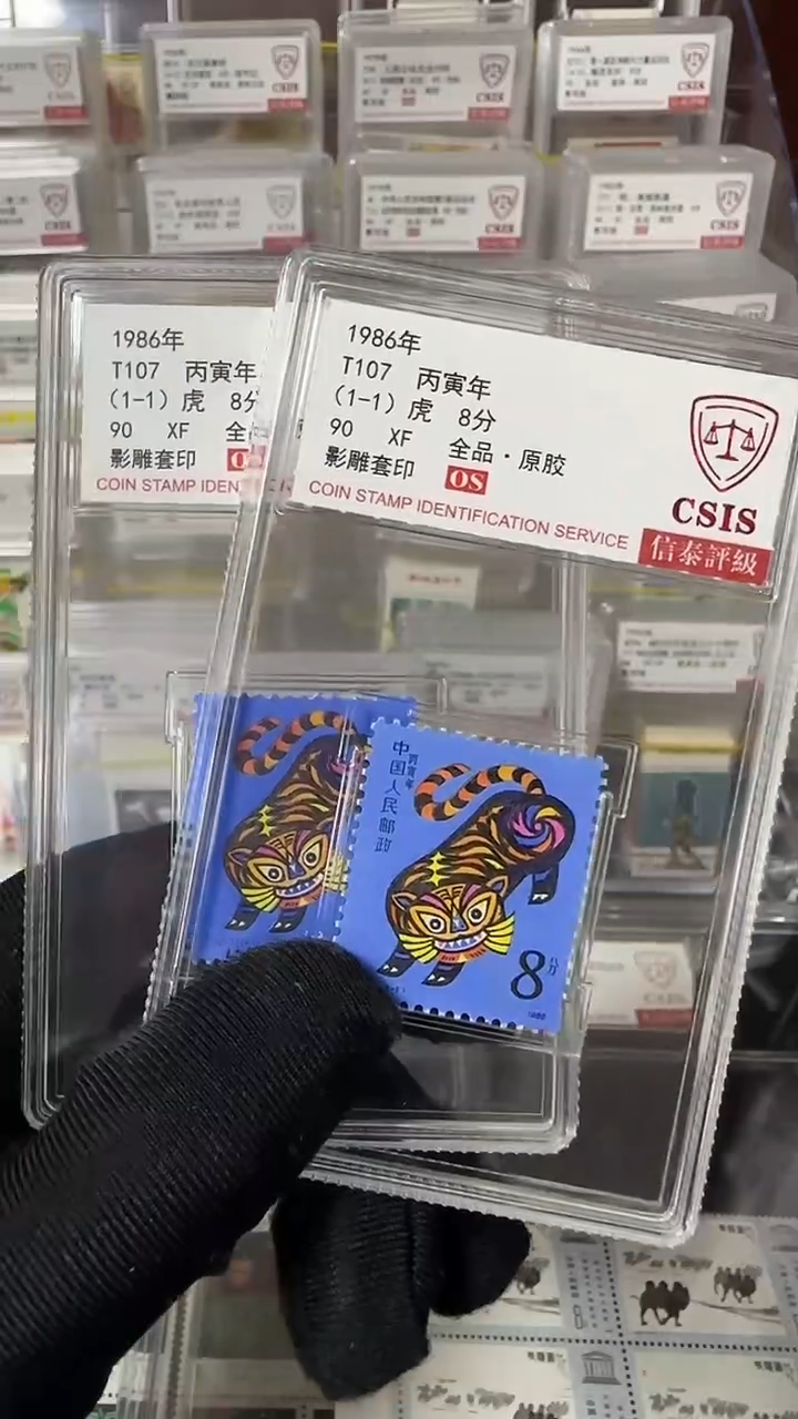 虎                    
