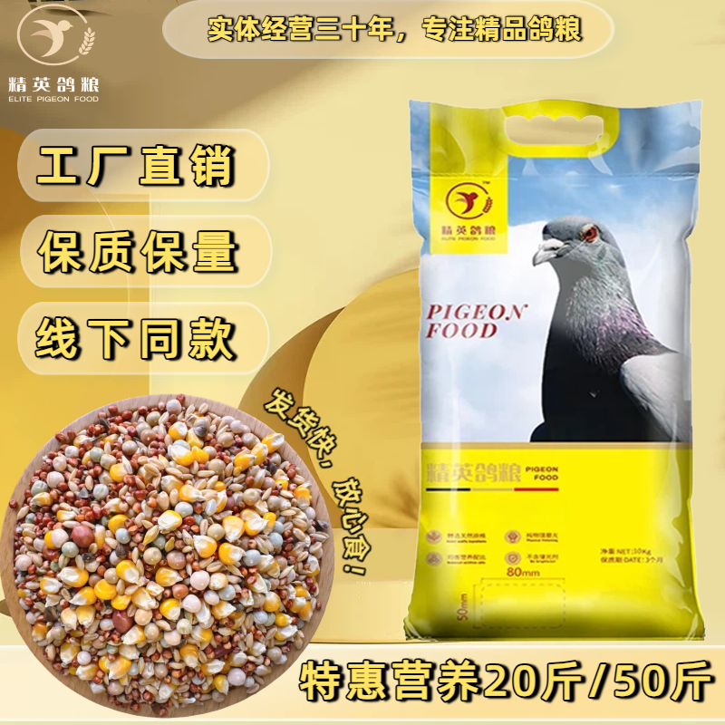 精英优质营养有玉米信鸽赛鸽小嘴鸽种鸽鸽子饲料鸽子粮20斤50斤