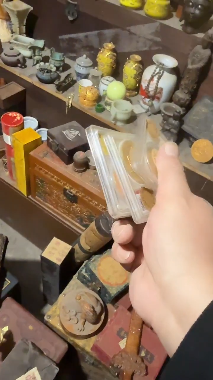 木          评黄币子