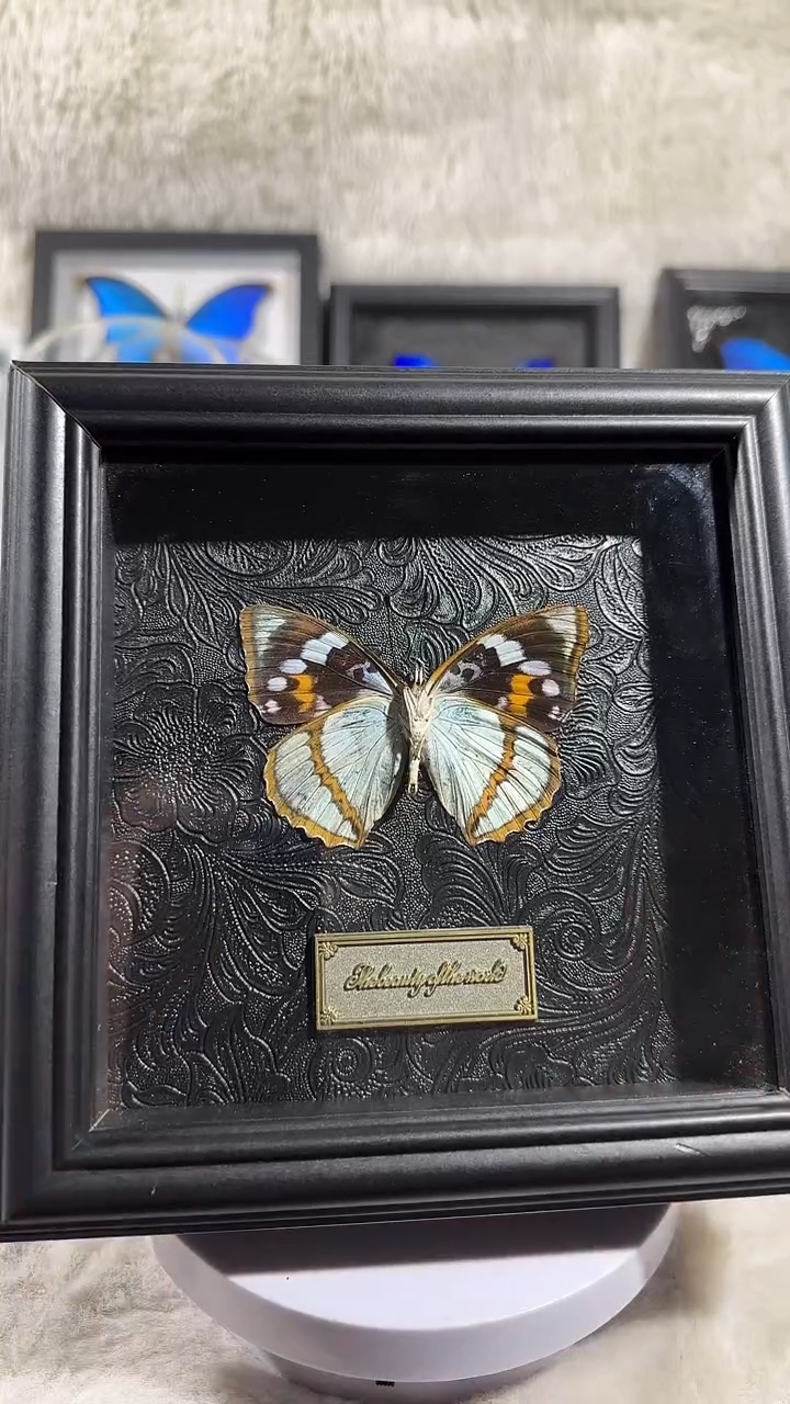 有机玻璃白板米黑纹理