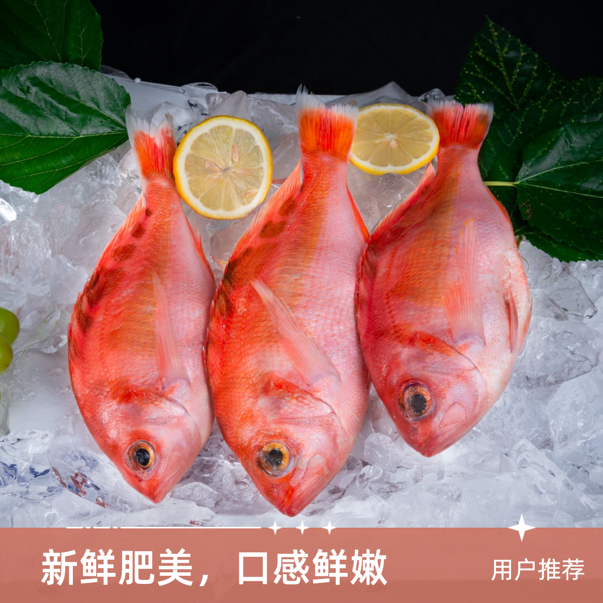 深海鱼 金菠萝鱼  非刺身整鱼切