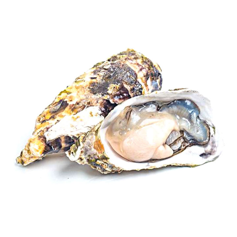 鲜活 生蚝 1+ 1个（仅限万方店，宝龙店，市府店）