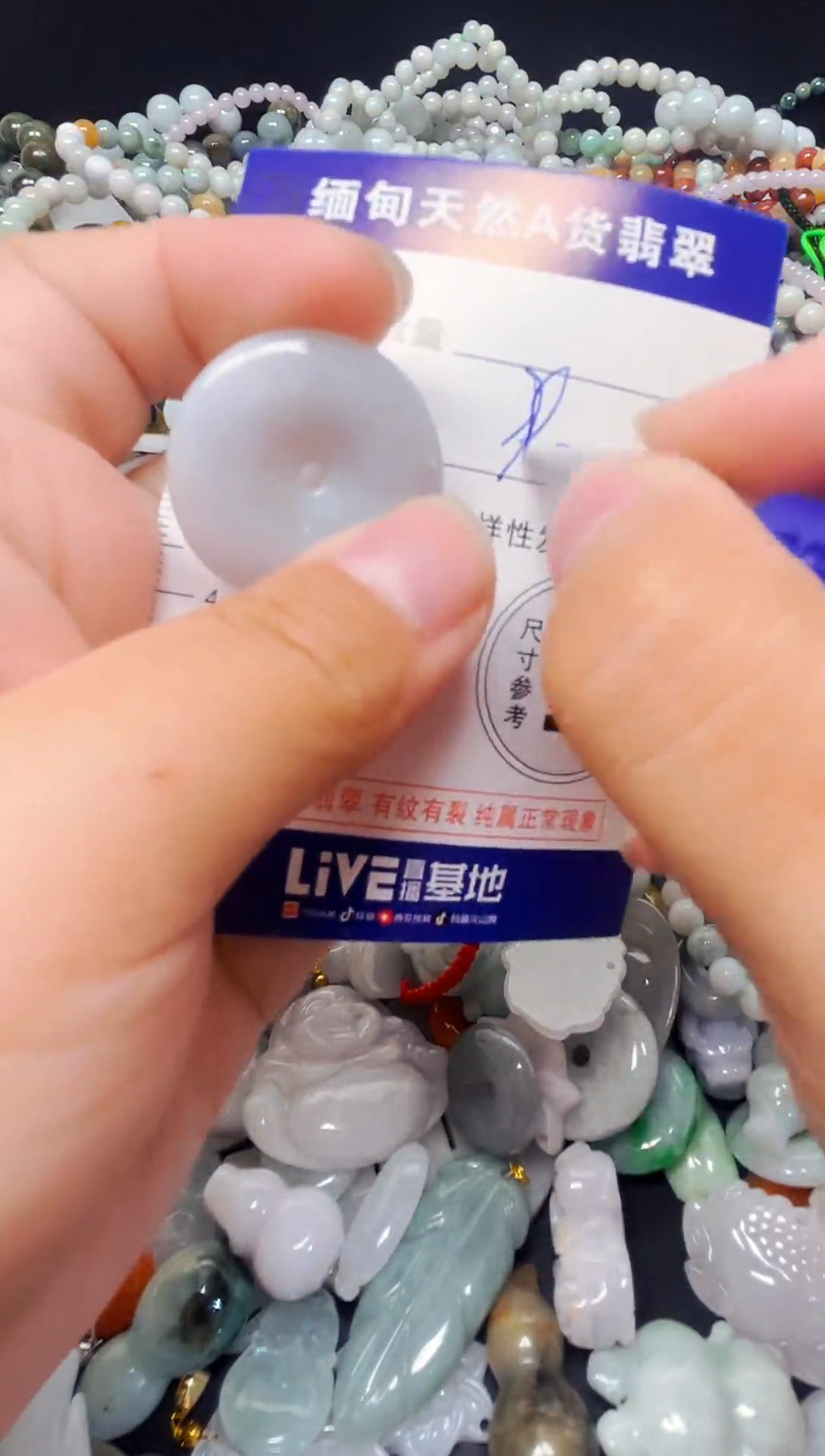 颈饰未镶嵌翡翠天然A货颈饰无镶嵌翡翠12