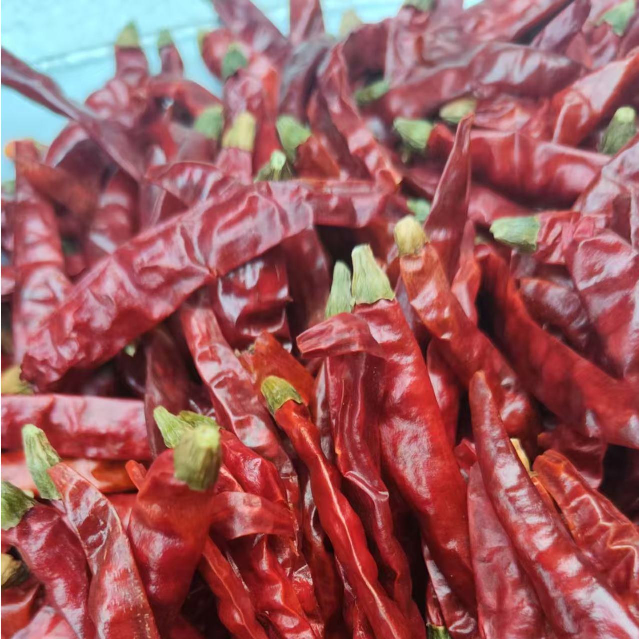 “魔鬼辣”！  （爆辣！！）