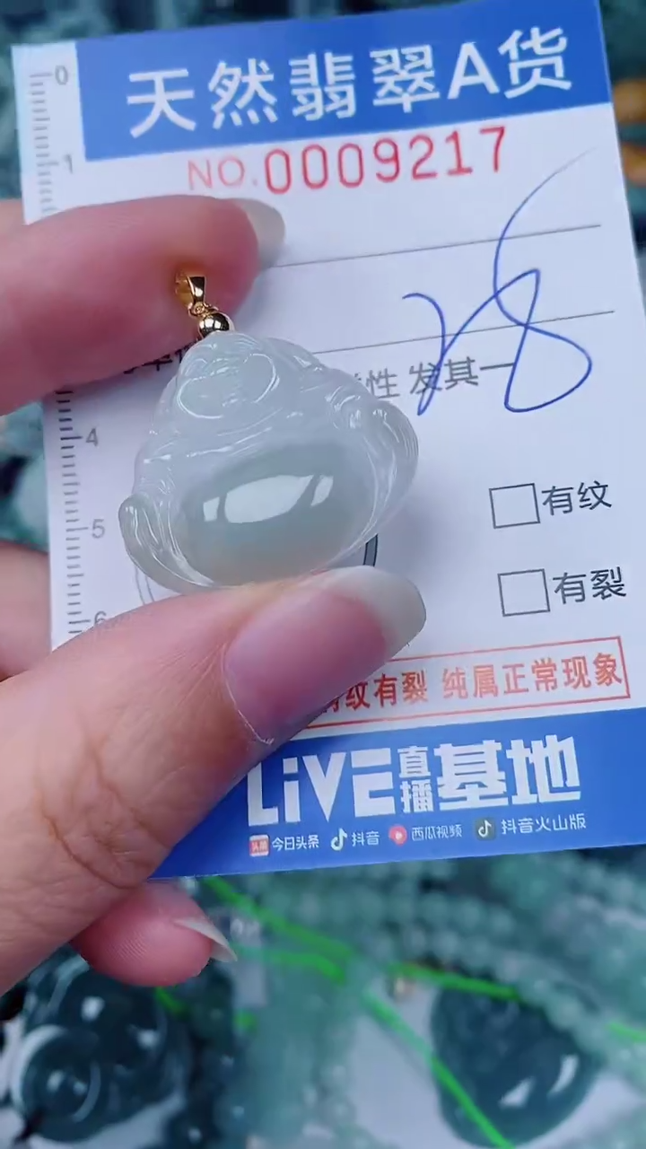 翡翠未镶嵌颈饰00009217