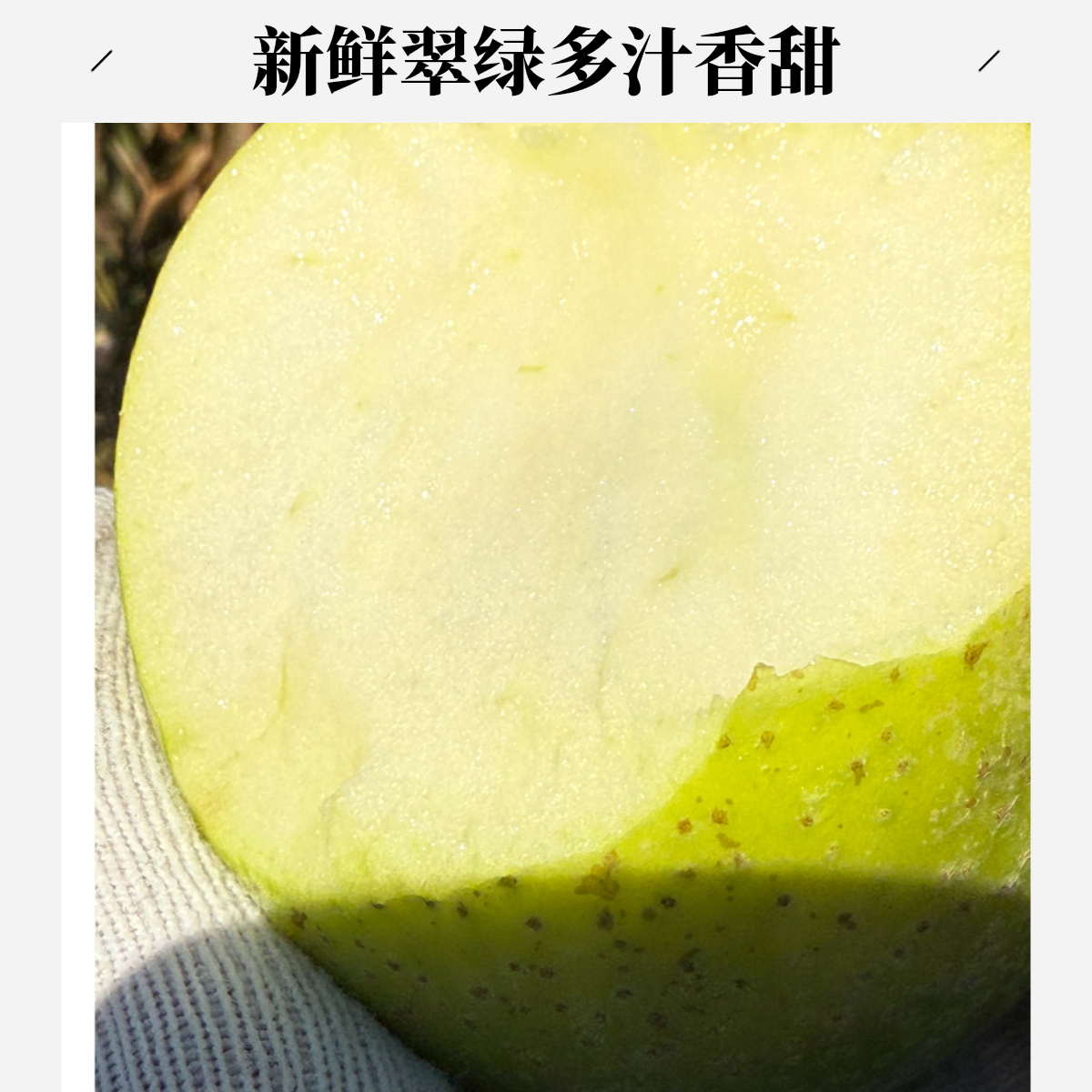 大连山地王林丑苹果大果9枚辽宁省