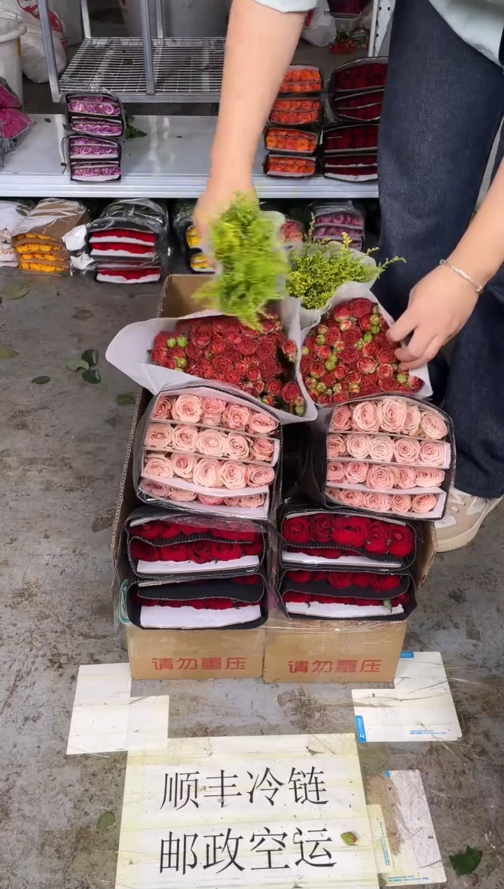 传奇20枝+卡布20枝+巧克力10枝+黄莺