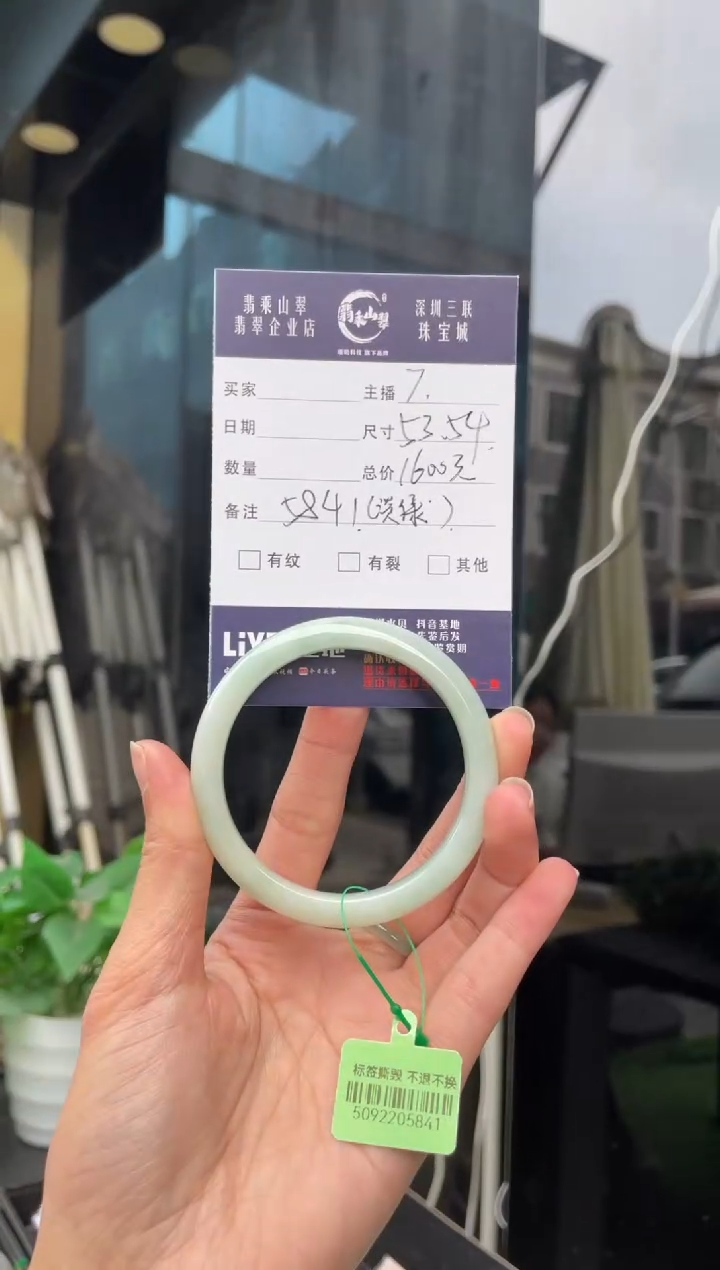 未镶嵌手镯翡翠Q 53正圈 5841