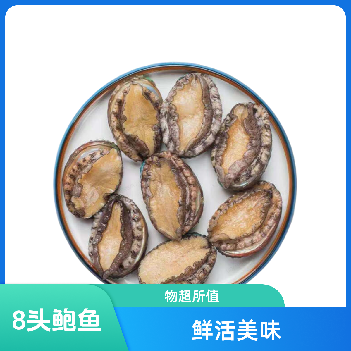 鲜活鲍鱼10只（小时达）