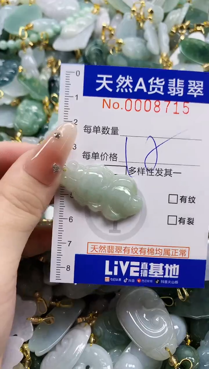 颈饰未镶嵌翡翠天然A货翡翠