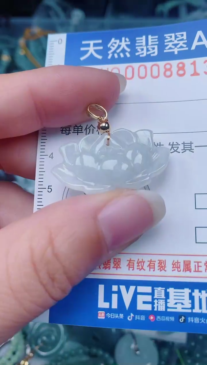 颈饰未镶嵌翡翠00008813