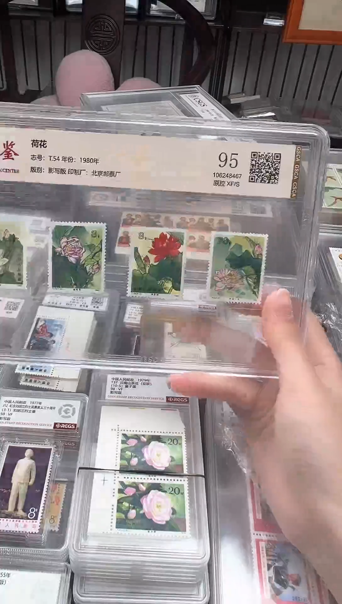 【闪购商品】T54荷花套票原胶95封装