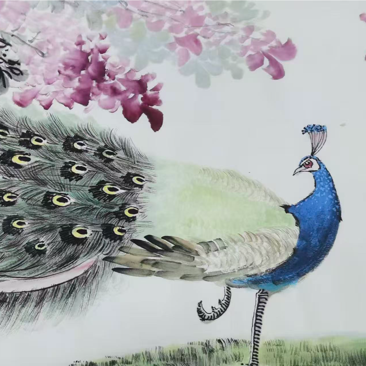 《孔雀》王秘书画结合作品纯手绘