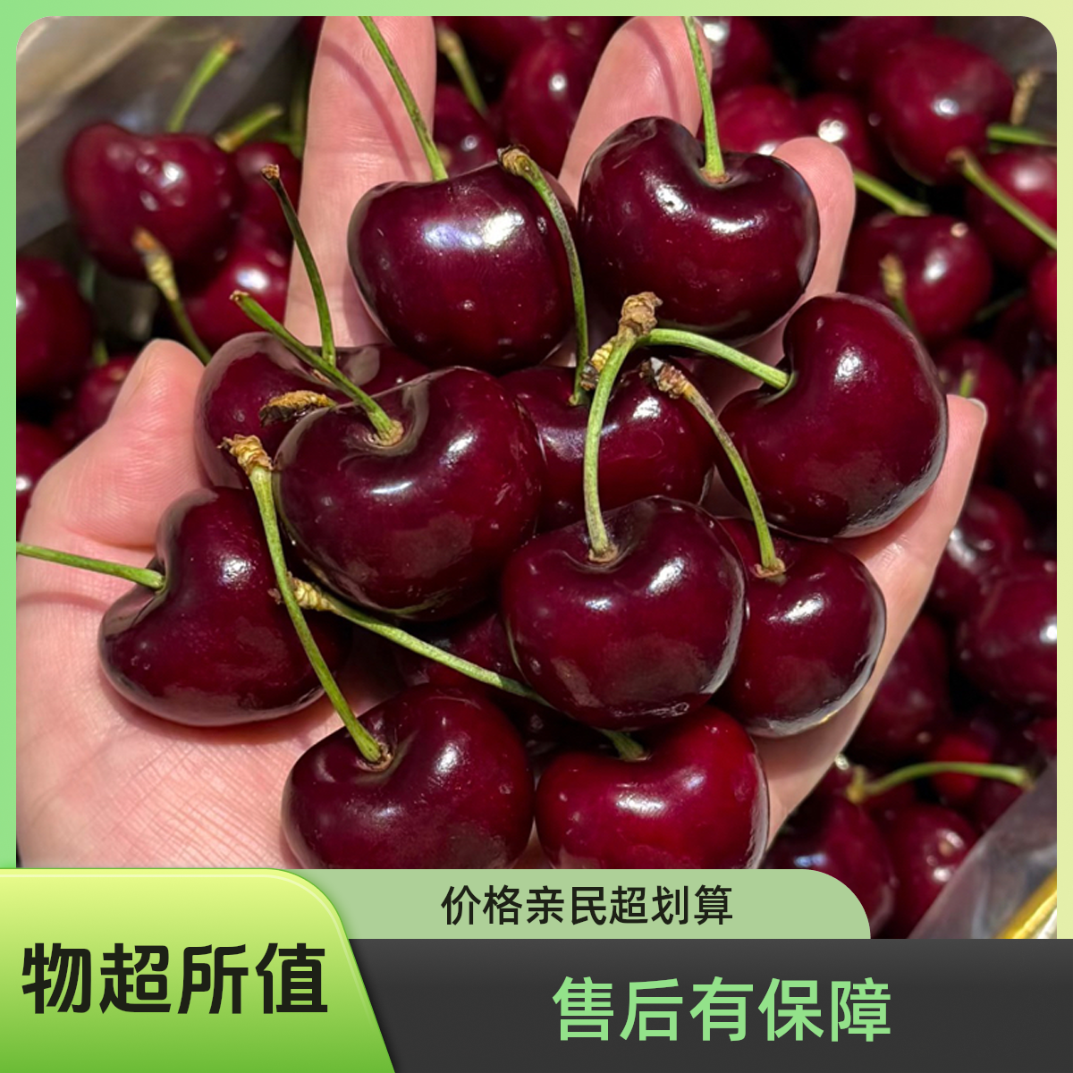 4JD智利空运车厘子桑提娜五斤（净重）一件内附果径卡智利