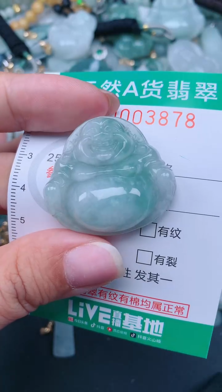 翡翠未镶嵌颈饰.0003878