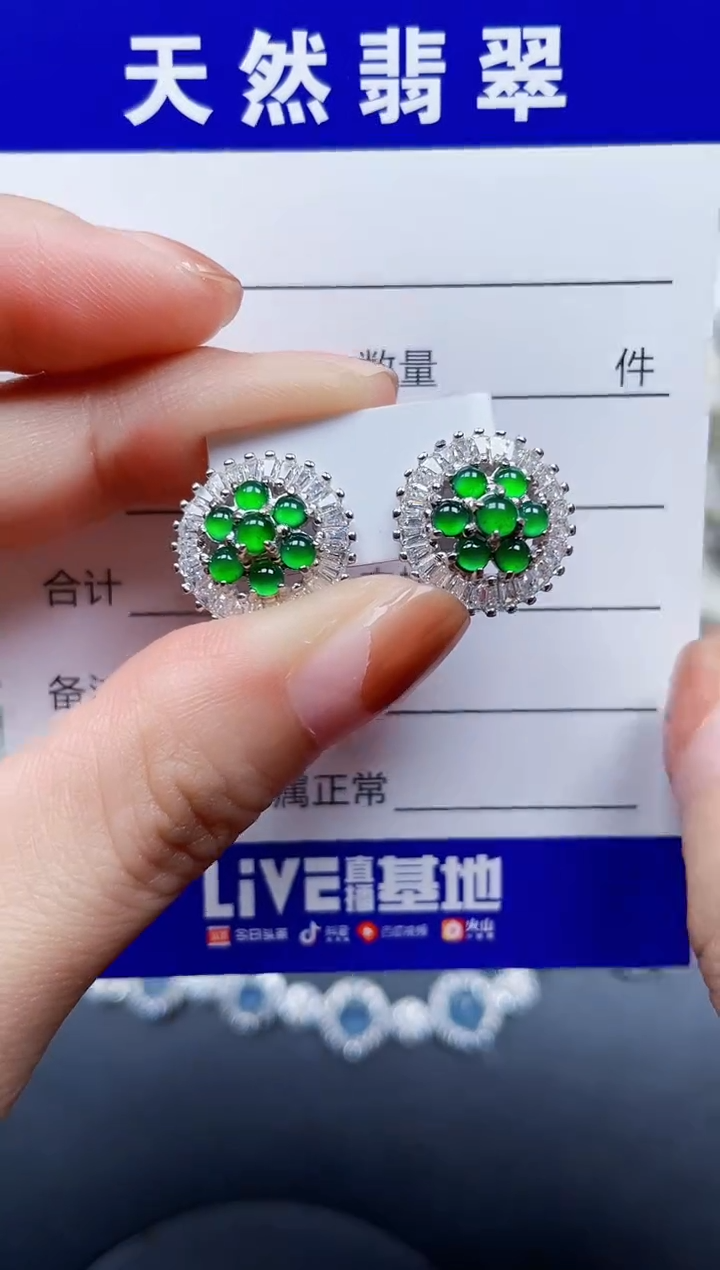 银S925镶嵌翡翠耳饰246