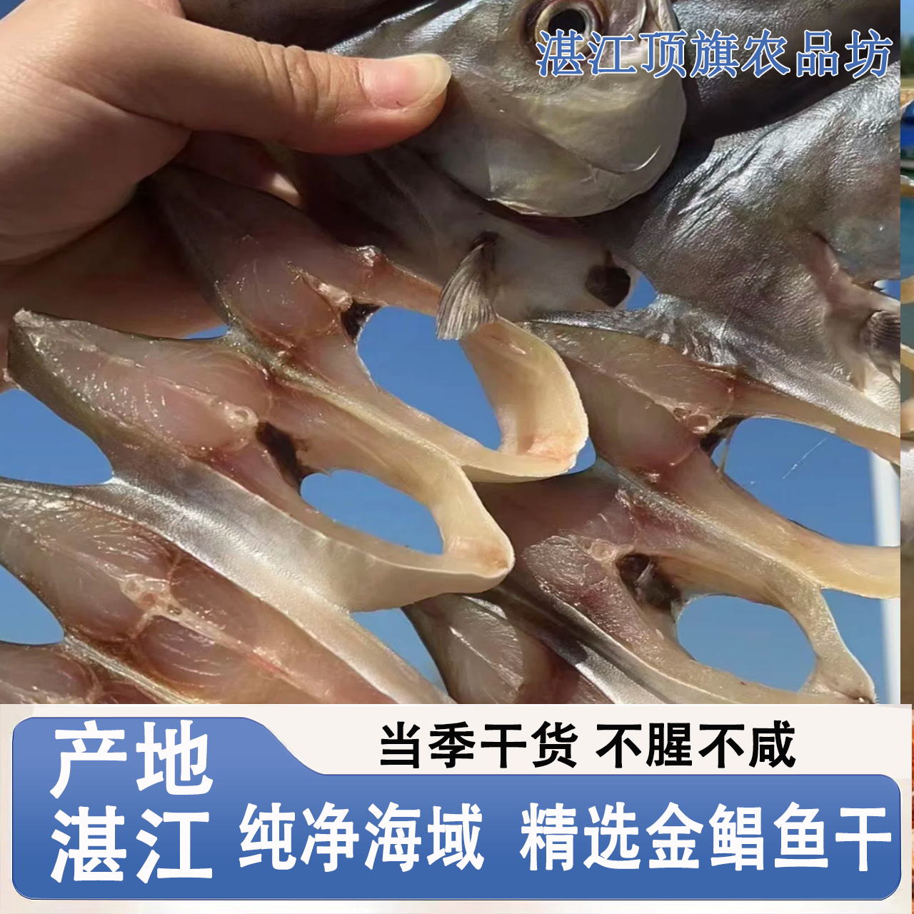 (直播专享)广东湛江特产风干淡晒野生大深海金鲳鱼鱼干海产品干货