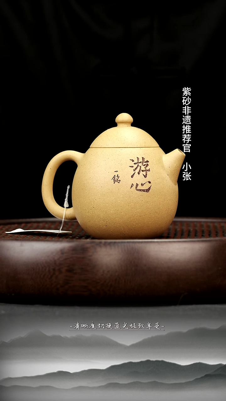 茶壶紫砂17 芝麻段 龙蛋 220c