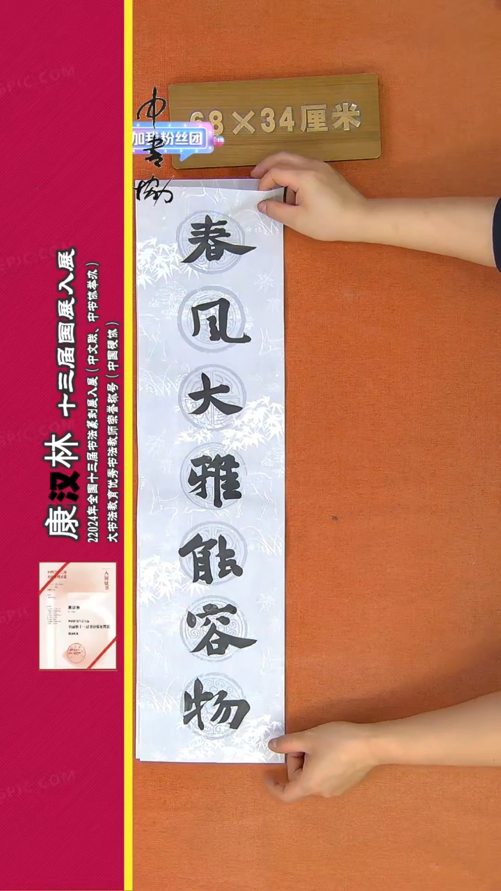 【闪购商品】书法120康汉林书法作品