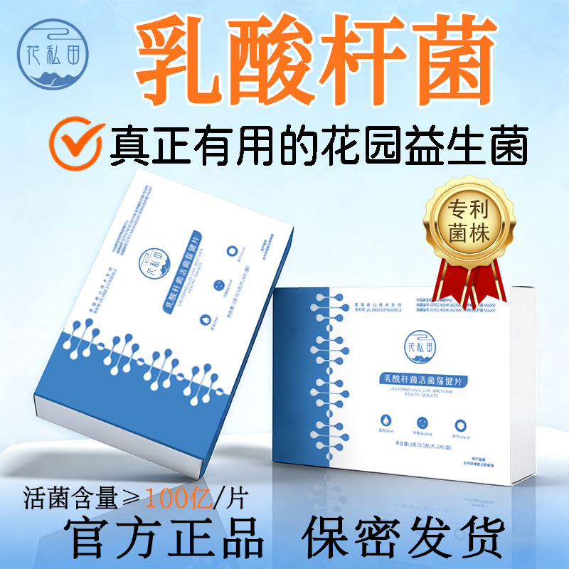 乳酸菌活菌女性私处益生菌内塞乳杆菌乳酸杆菌卷曲乳杆菌