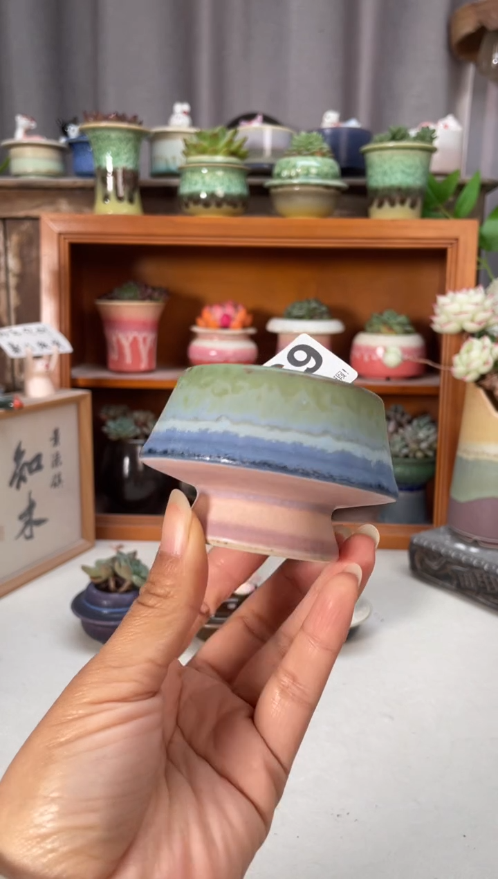 瓷片469知木小芳花盆编号