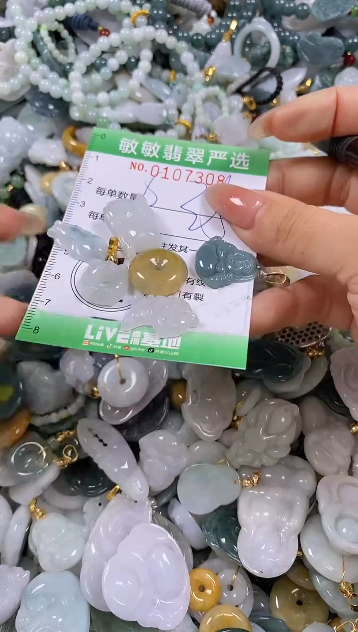 【闪购商品】翡翠颈饰未镶嵌闪购0107308